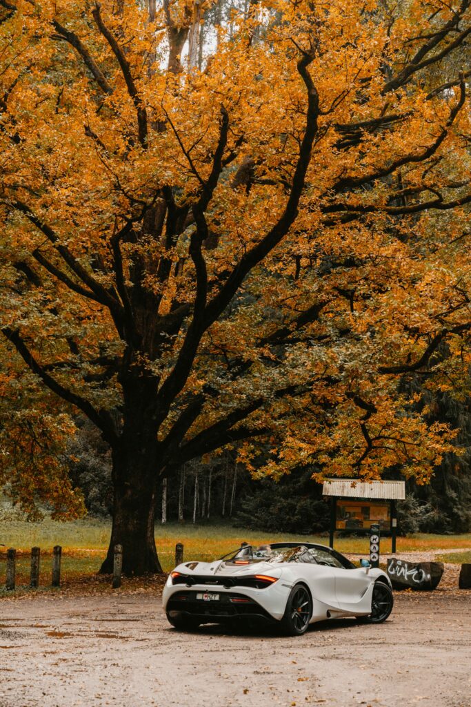 Car Photography for Mcclaren on a cloudy day. This was taken for Dream Prestige Drive at Black Spur drive. It's a good location for car photography in Melbourne.
